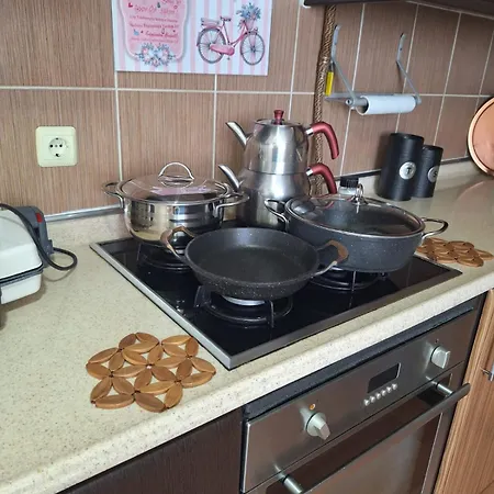 2 Ege Ueniversite Ve Hastanesi Yakini , Aileye Ve Firma Calisanlarina Uygun