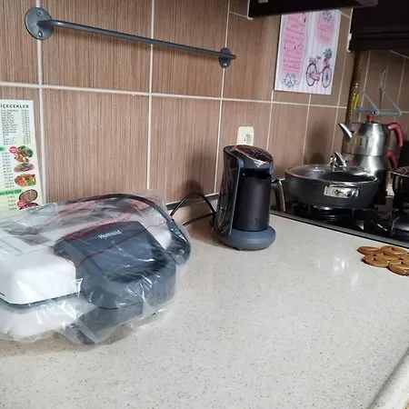 2 Ege Ueniversite Ve Hastanesi Yakini , Aileye Ve Firma Calisanlarina Uygun Appartement